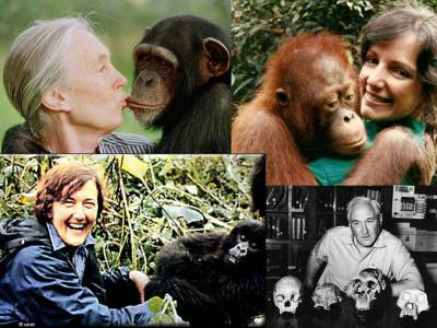 Dian Fossey, une des Leakey’s Angels – Lille Lettré