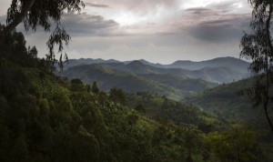 Montagnes du Virunga