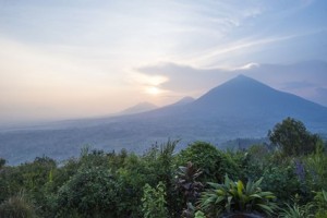 volcan flore luxuriante