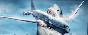 requin avion