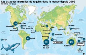 Nombres d'attaques de requins dans le monde 