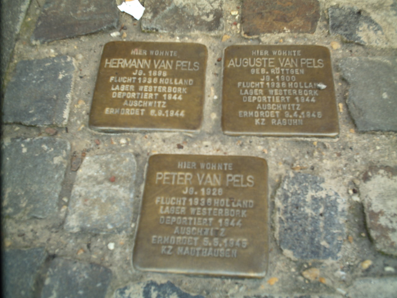https://upload.wikimedia.org/wikipedia/commons/2/24/StolpersteinOS01.JPG