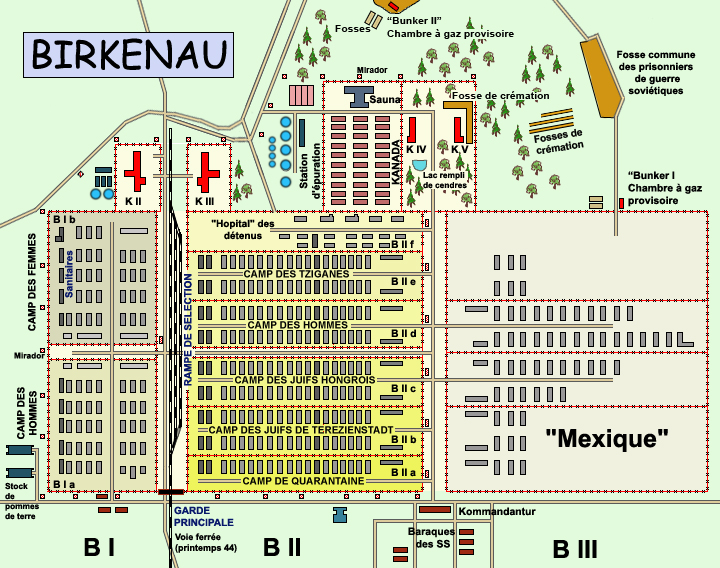 Auschwitz Birkenau : plan général du camp